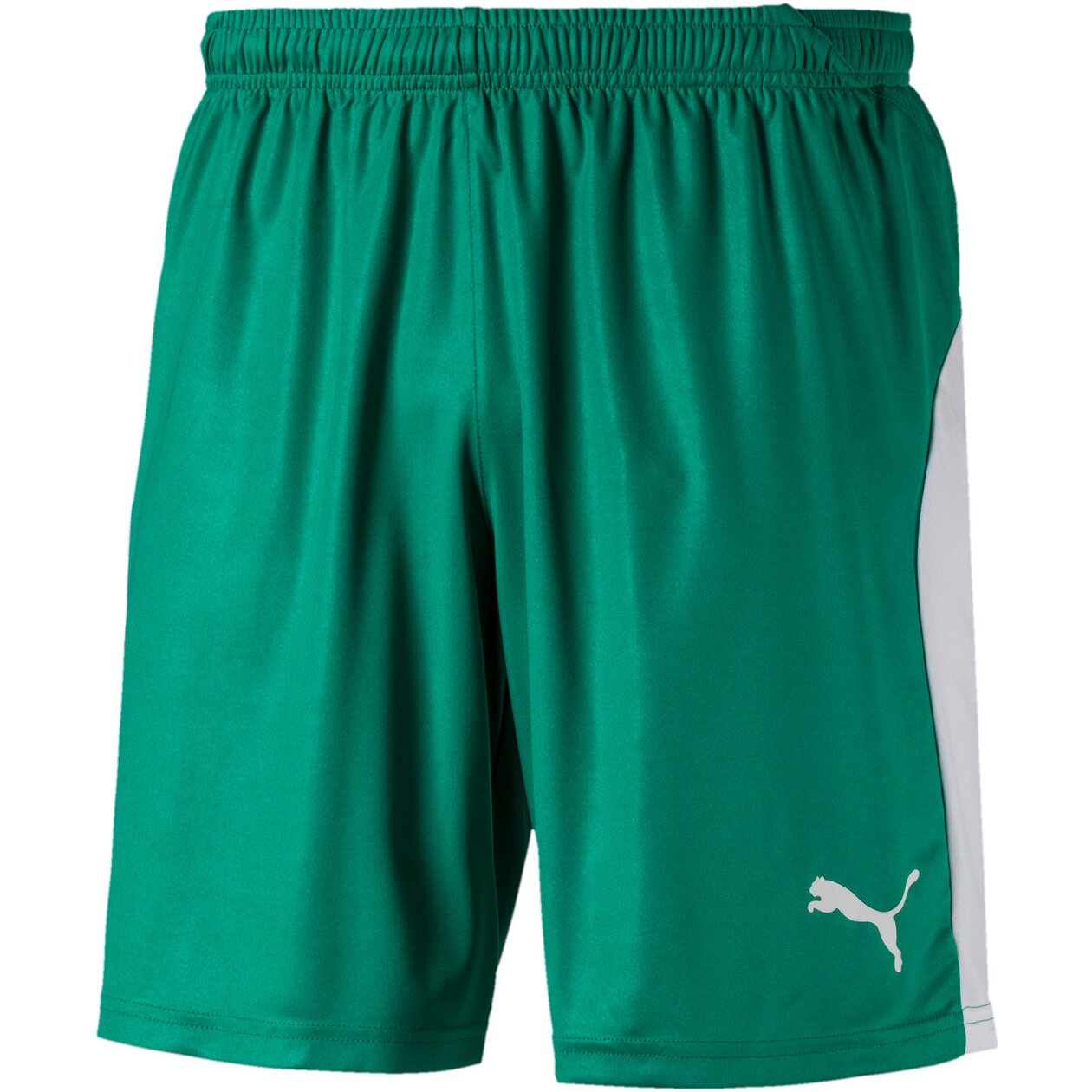 HERREN FUSSBALLSHORTS LIGA SHORTS (703431-005-)